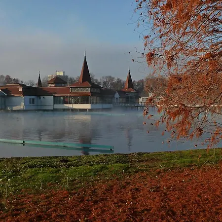 Cozy * Heviz