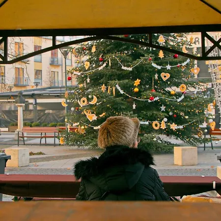 Cozy * Heviz
