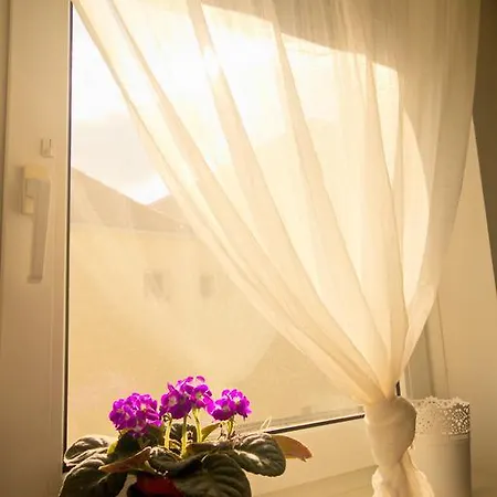 Apartment Cozy